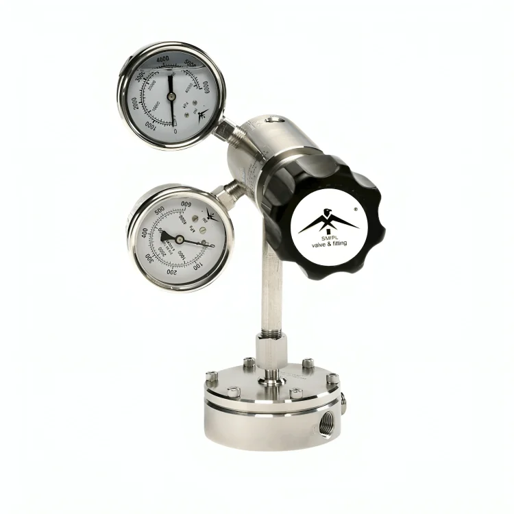 Back Pressure Regulator Manufacturer in India - SMIPL