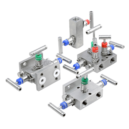 5 Way Valve Manifolds Manufacturer in India - SMIPL