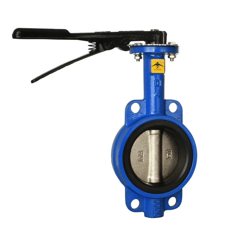 SS Butterfly Valve India