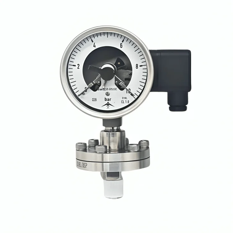 Diaphragm Seal Gauge Manufacturer in India - SMIPL