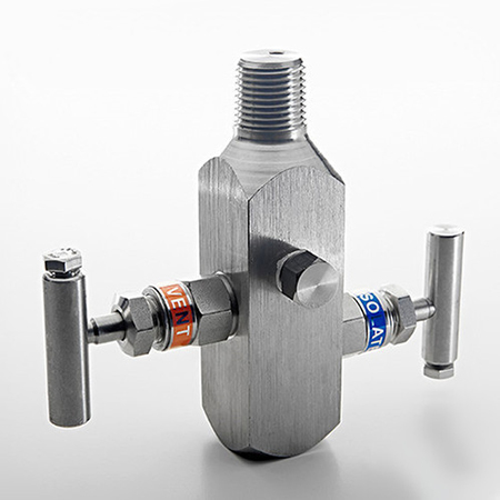 Two Valve Manifold Manufacturer in India - SMIPL