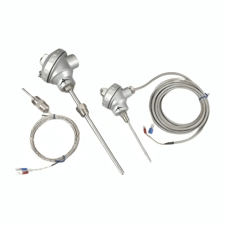 RTD Sensors & Assemblies Manufacturer in India - SMIPL