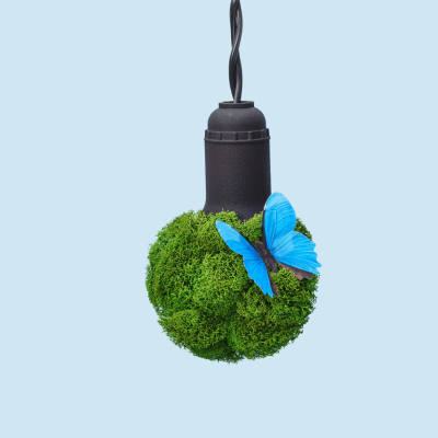 Sustainability