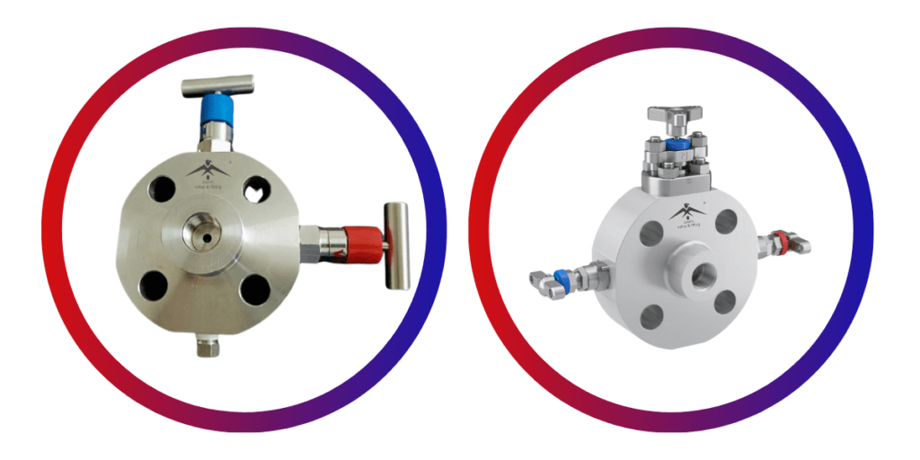 Monoflange Valve Manufacturer in Boston