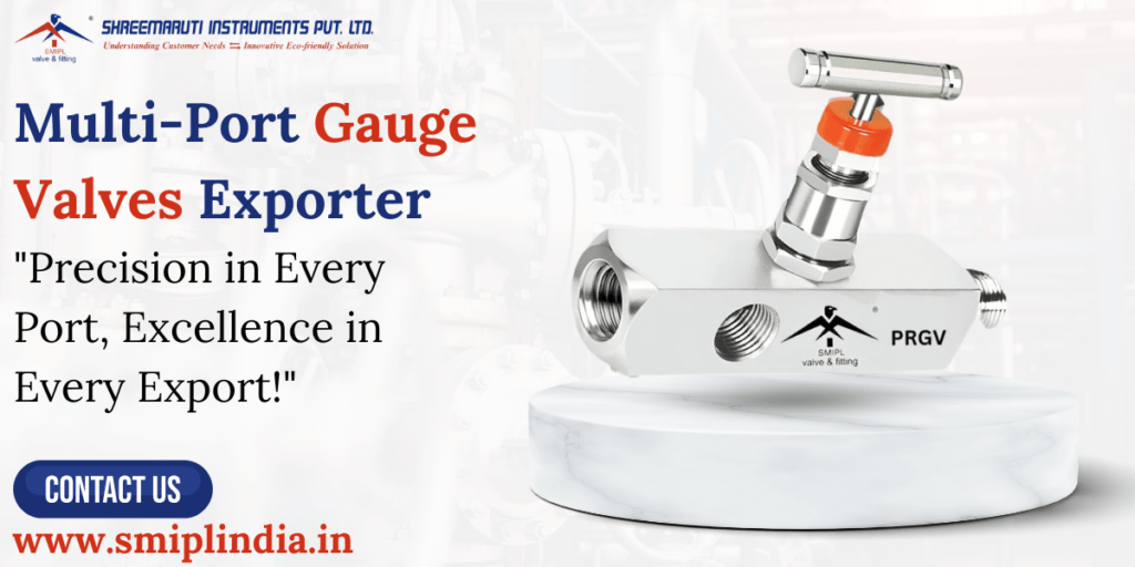 Multi-Port Gauge Valves Exporter