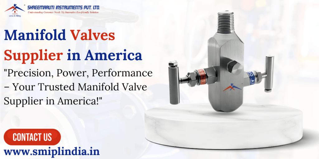 Manifold Valves Supplier in America